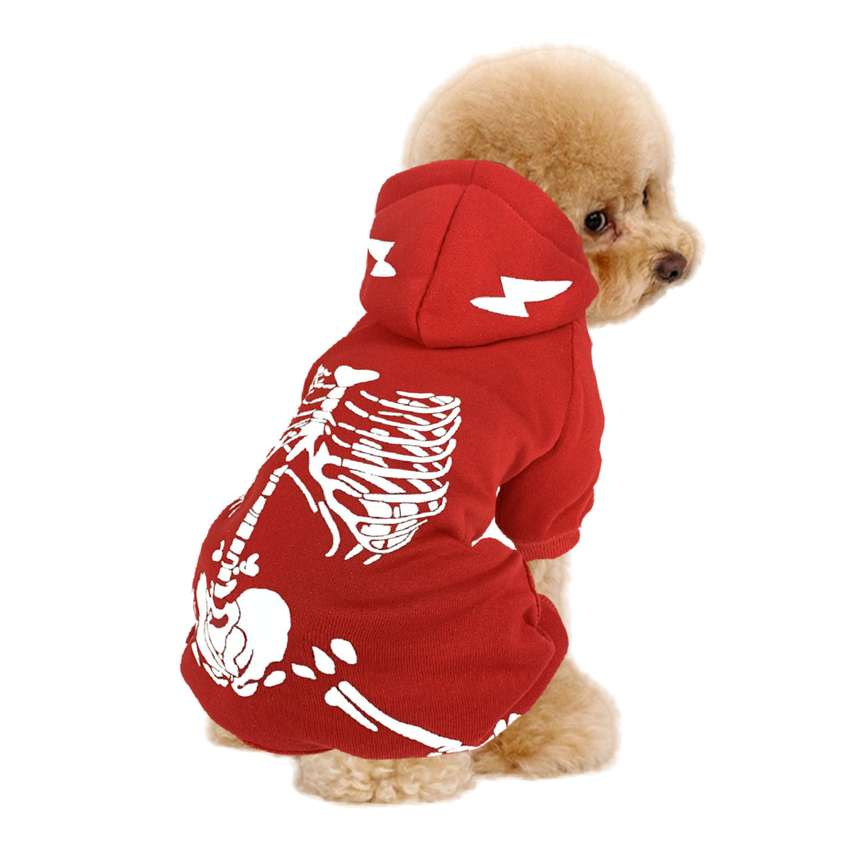 Glow-in-the-Dark Skeleton Dog Costume